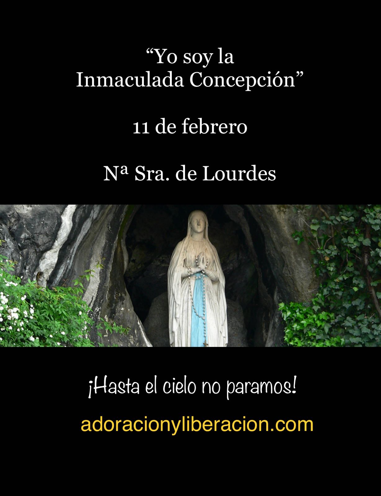 WhatsApp Image 2018-02-11 at 09.29.51