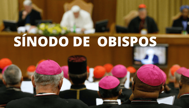 Normas de Masonería a los Obispos católicos masones