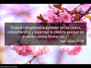 Cancelan el sacrificio perpetuo