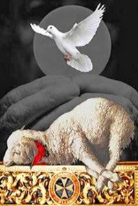 Novena a San Juan Bautista.