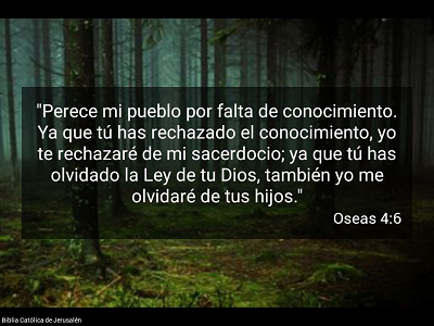 Hasta siete tiempos sin cabeza