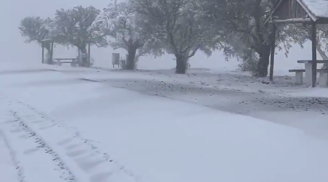 Insólita nevada en Sudáfrica 