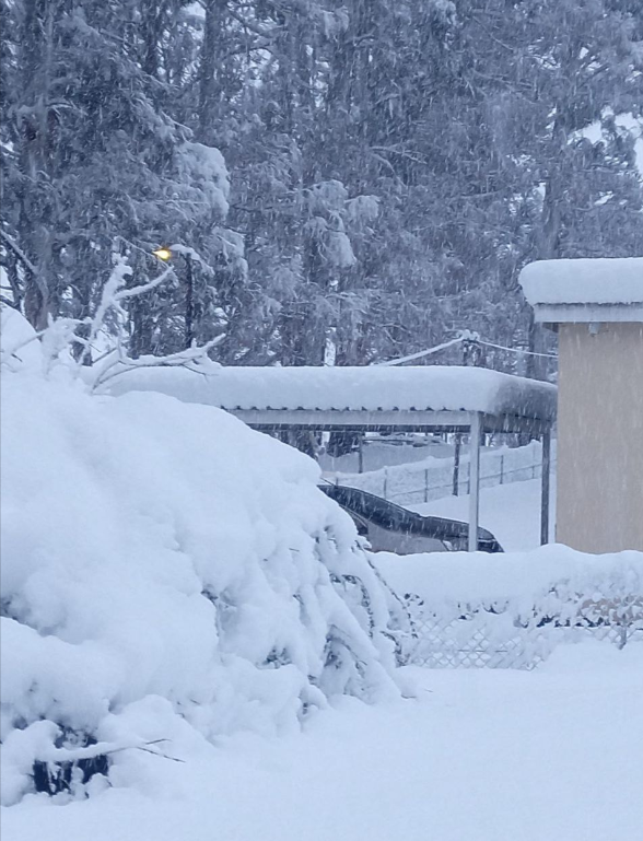 Insólita nevada en Sudáfrica 